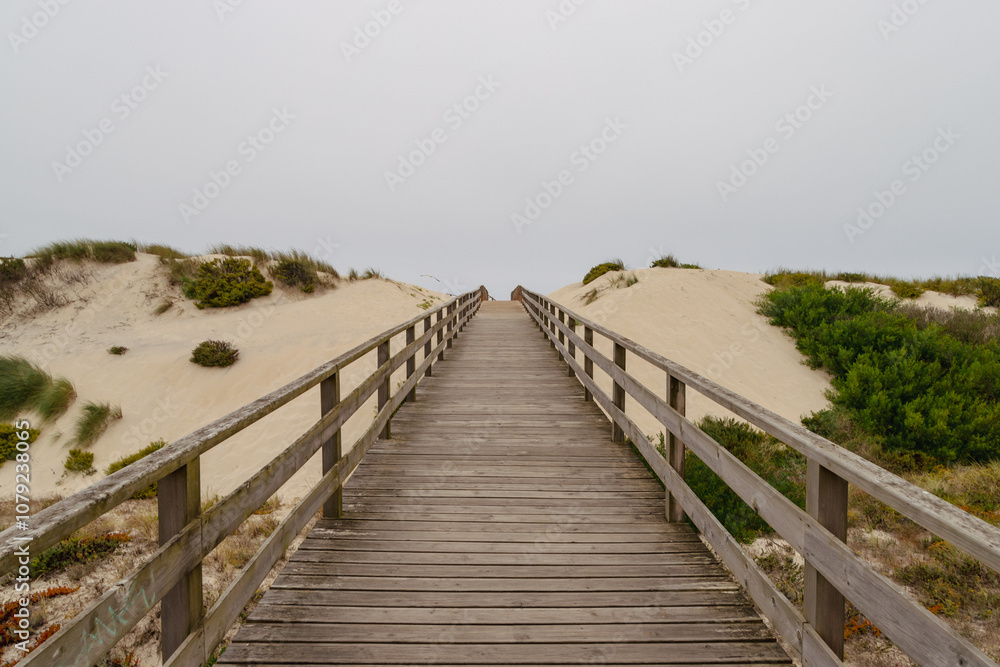Obraz premium Beach in cloudy weather. Wooden path on the ocean shore. Portuguese Way