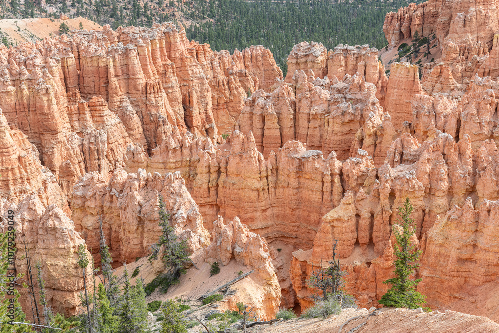 Hoodoos in Bryce Canyon National Park, Utah, USA Hoodoos in Bryce Canyon National Park, Utah, USA
