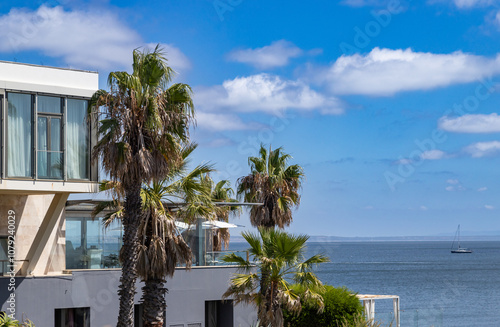 Luxury villa in the tropics near the sea