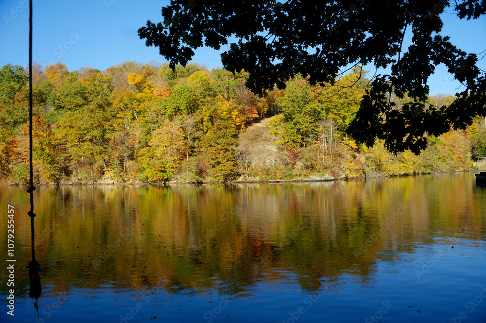 rope swing; reflection; autumn; lake; trees; foliage; nature; calm; water; landscape rope swing; reflection; autumn; lake; trees; foliage; nature; calm; water; landscape