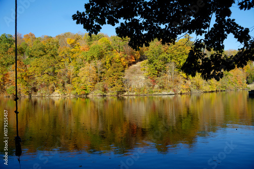 rope swing; reflection; autumn; lake; trees; foliage; nature; calm; water; landscape photo