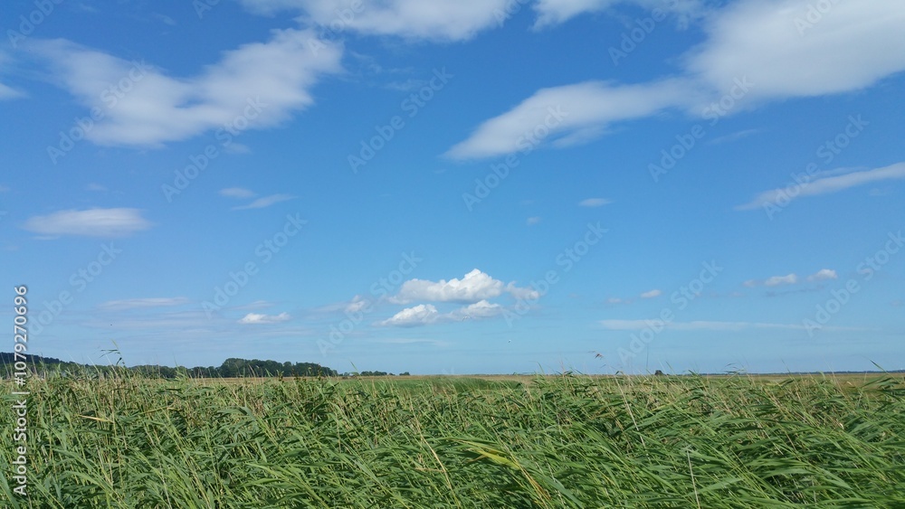 Obraz premium Perfect Day on Hiddensee