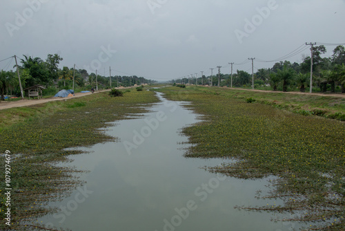 the appearance of a long and straight river alley filled with water plants, a river view in the interior of an Indonesian village photo