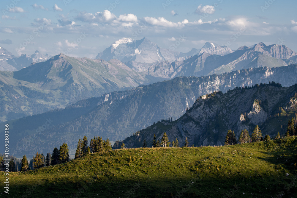 Fototapeta premium Alpine landscape in Switzerland, Alps mountains, green meadows
