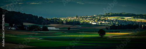 Rural landscape in Europe, Switzerland.