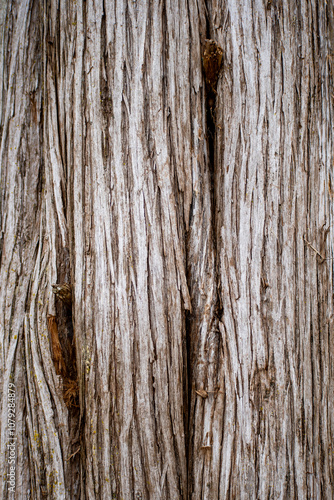 old wood texture