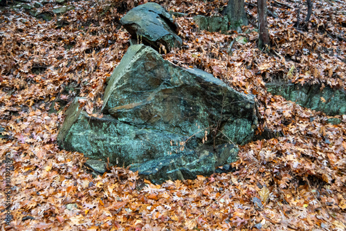 stone in the leaves