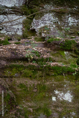 Wissahickon shale