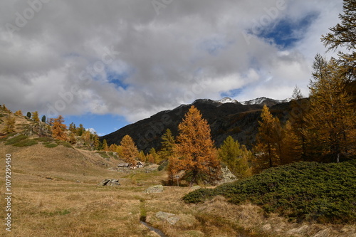 Vallée de la Clarée, Névache (05) photo