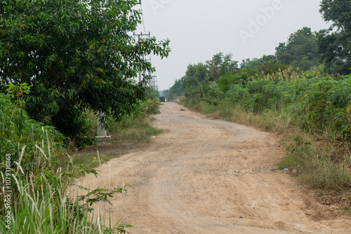 off road view or damaged road with red soil dust surrounded by wild trees or wild grass on a village road