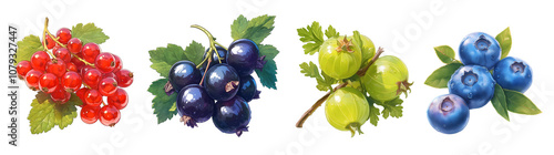 Assorted fresh fruits isolated on transparent background. Realistic illustration. Healthy eating and organic produce concept. Clipart for cookbook, menu, and greengrocery store advertising.