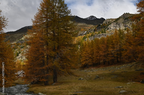 Vallée de la Clarée, Névache (05) photo