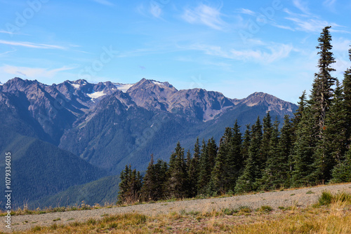 olympic national park photo