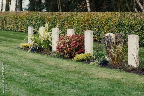 plants in a cemetery