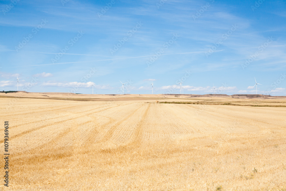 Castile and Leon region rural landscape, Spain Castile and Leon region rural landscape, Spain