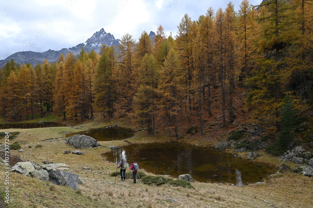 Obraz premium Vallée de la Clarée, Névache (05)