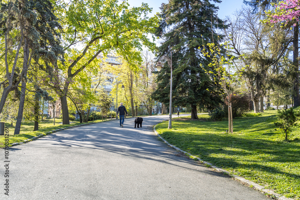 Man and his dog are walking down a path in a park Man and his dog are walking down a path in a park