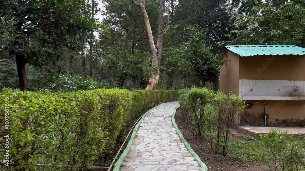 Experience Thrills at Lachhiwala Water Fun Park: Top Destination for Water Parks in Dehradun, Perfect for Family Adventures Clip 16 Experience Thrills at Lachhiwala Water Fun Park: Top Destination for Water Parks in Dehradun, Perfect for Family Adventures Clip 16