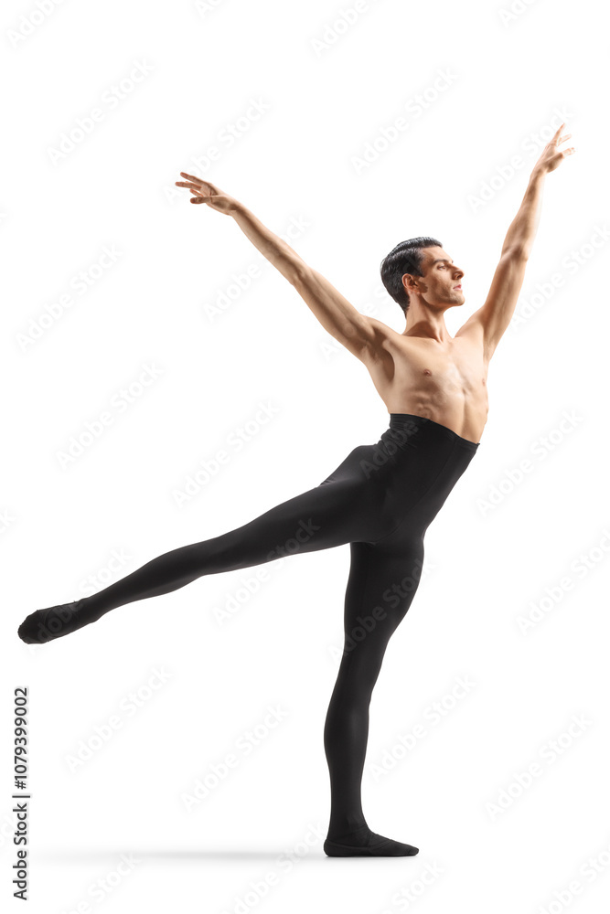 Male ballet dancer performing a choreography Male ballet dancer performing a choreography