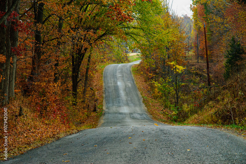 winding road 
