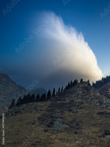 fog and clouds shrouding the mountains with pines gracefully crowning the summit