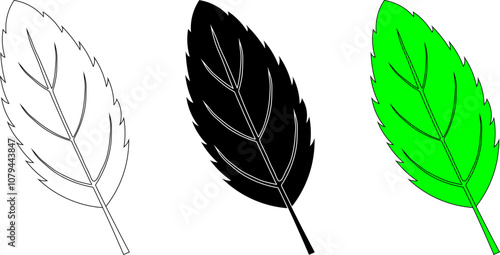 outline silhouette Mentha leaves icon set