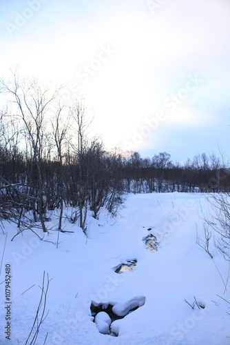 Winter landscapes in Norway showcase serene snowy mountains, icy fjords, and peaceful coastal views. Capturing the beauty of snow-covered trees, quiet roads, and glowing sunsets creates a sense of cal