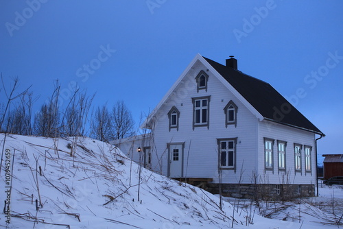 Winter landscapes in Norway showcase serene snowy mountains, icy fjords, and peaceful coastal views. Capturing the beauty of snow-covered trees, quiet roads, and glowing sunsets creates a sense of cal
