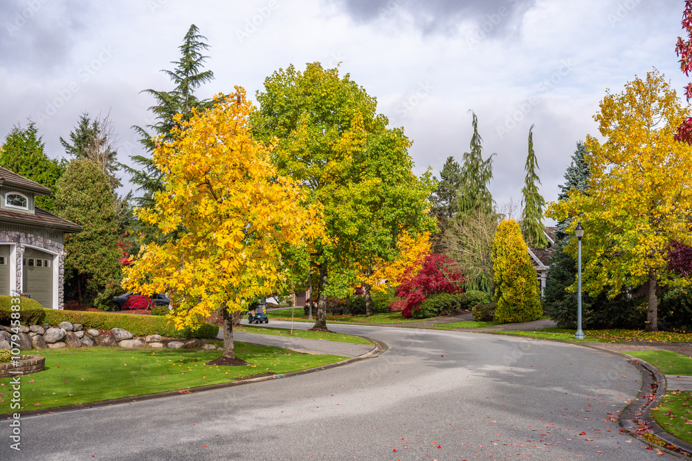 Naklejka premium Neighbourhood of luxury houses in fall foliage with street road, big trees and nice landscape in Vancouver, Canada. Day time on November 2024.