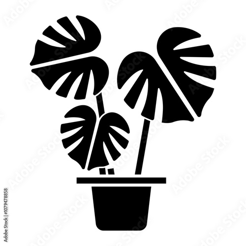 monstera Solid icon