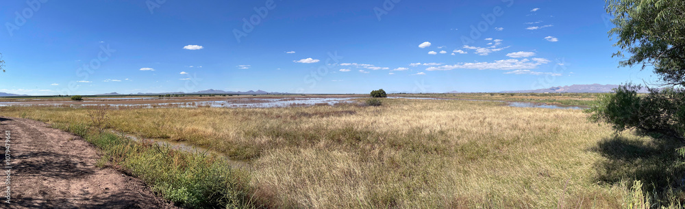 Wetland landscape at Whitewater Draw Wildlife Area in Arizona Wetland landscape at Whitewater Draw Wildlife Area in Arizona