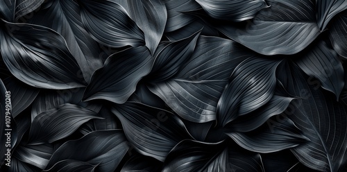 Abstract Black Leaf Texture for Dark Nature Background Wallpaper Design