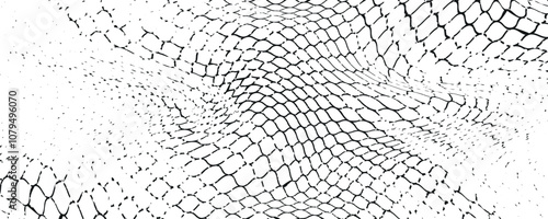 Black snake skin pattern isolated on white background eps 10