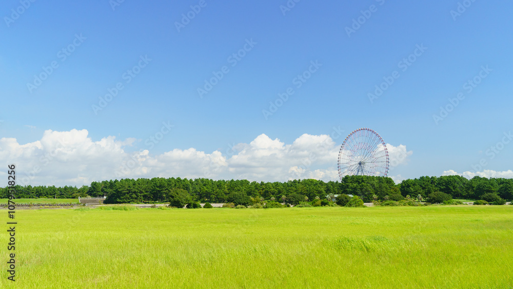 日本の公園の風景|(東京都江戸川区)葛西臨海公園と大観覧車 日本の公園の風景|(東京都江戸川区)葛西臨海公園と大観覧車