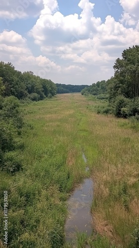 A wide, grassy riverbed surrounded by trees under a cloudy sky.