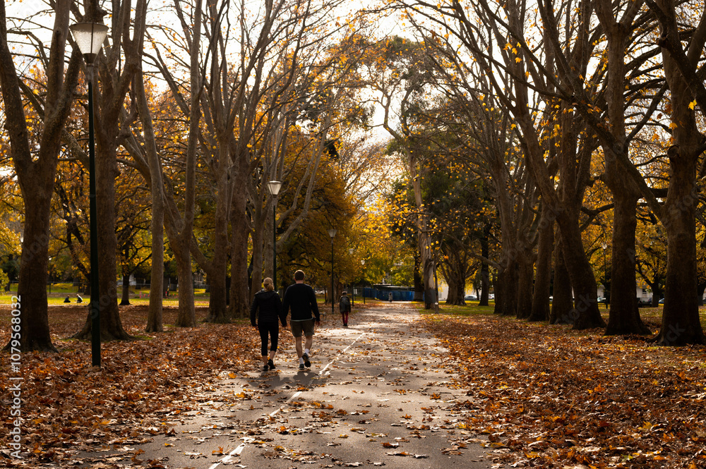 walking in fall walking in fall