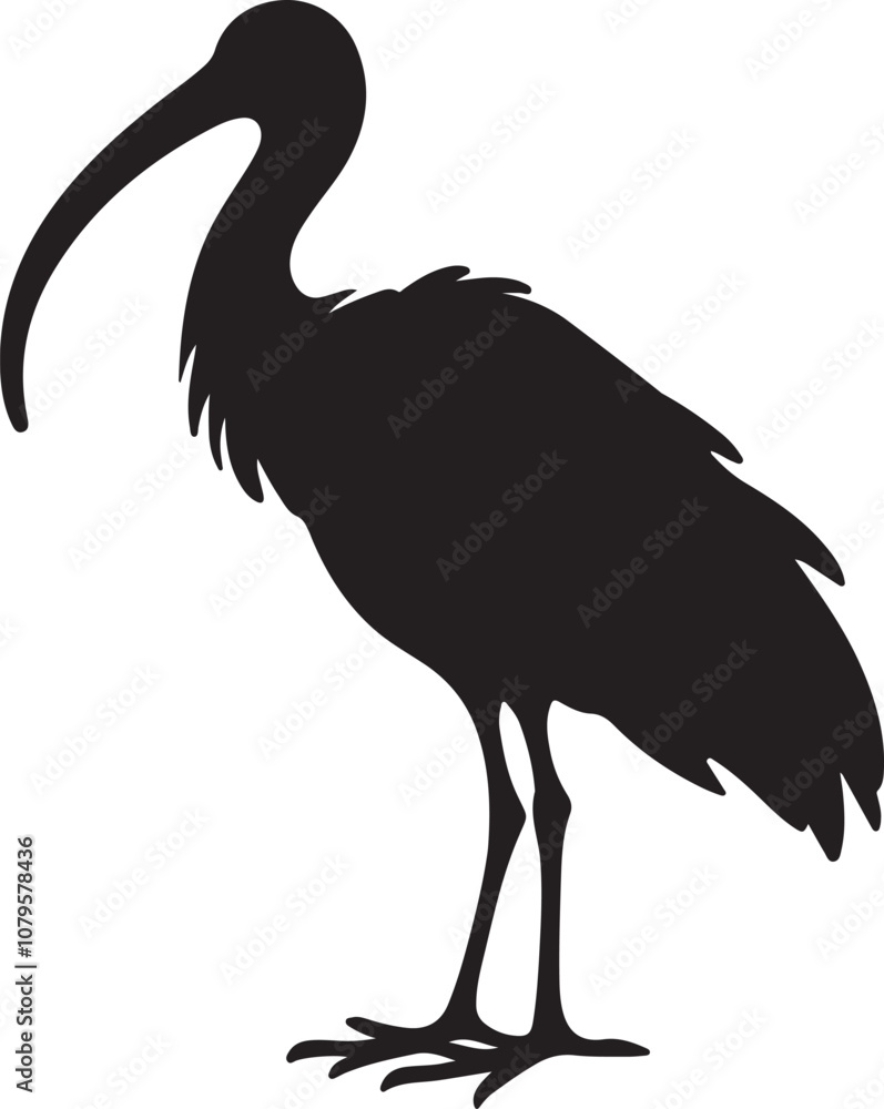 Fototapeta premium ibis bird standing silhouette vector art illustration.