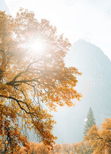 Fall in Yosemite