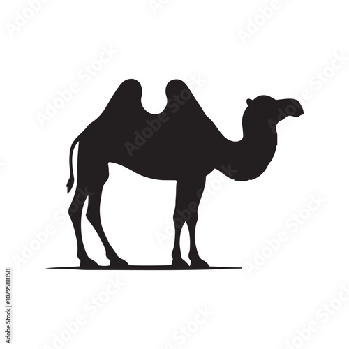 camel silhouettes, silhouette of a camel on a white background, silhouette set of camel vector illustration isolated on white, transparent background.