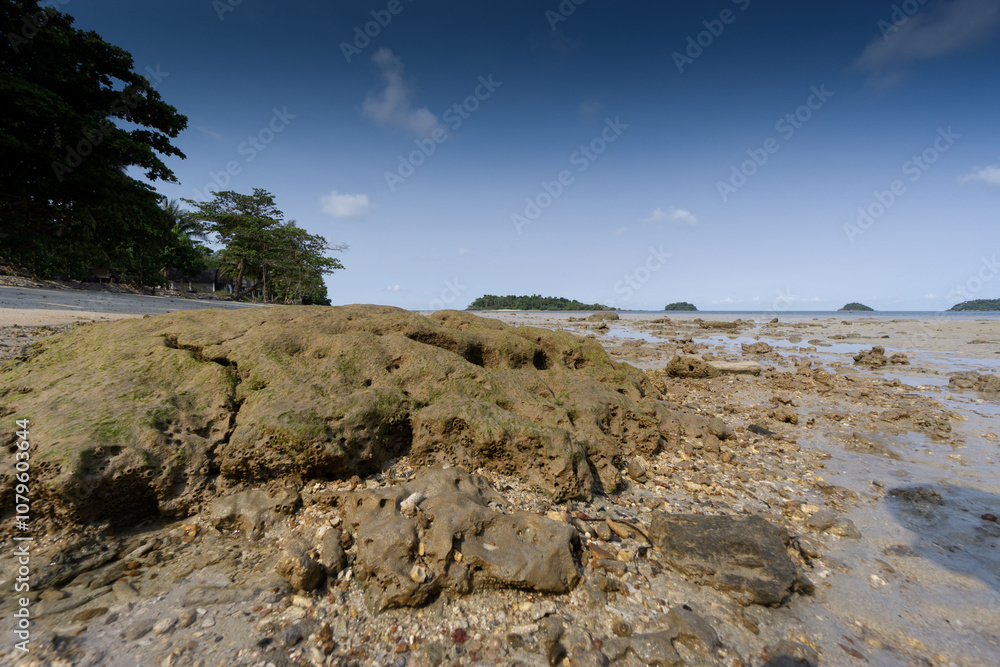 Obraz premium Sandy tropical coastline and beaches with blue sky