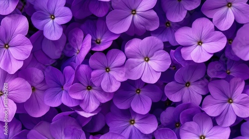 Close up shot of vibrant purple flowers symbolizing the arrival of spring Floral backdrop offers room for text