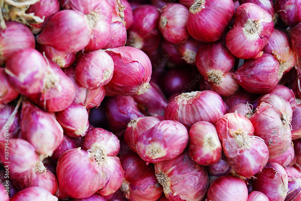 shallot put together as a group small and large and spices cooking shallot fresh from the garden shallot surface background texture nature shallot put together as a group small and large and spices cooking shallot fresh from the garden shallot surface background texture nature