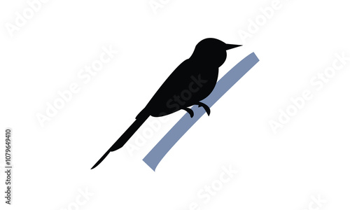 Green Bee Eater Silhouette Design  And Vector Illustration. 