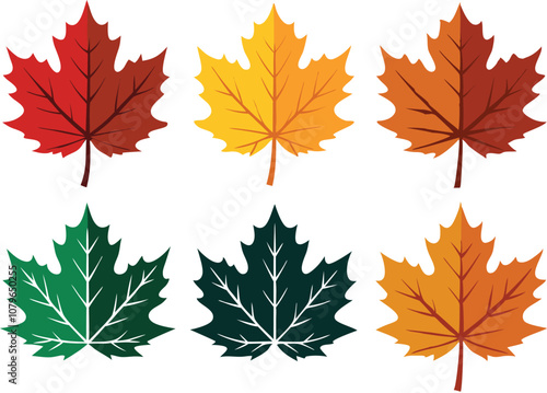 Vector Silhouette Summer Icon Set of Maple Leaves in Autumn Colors on White Background