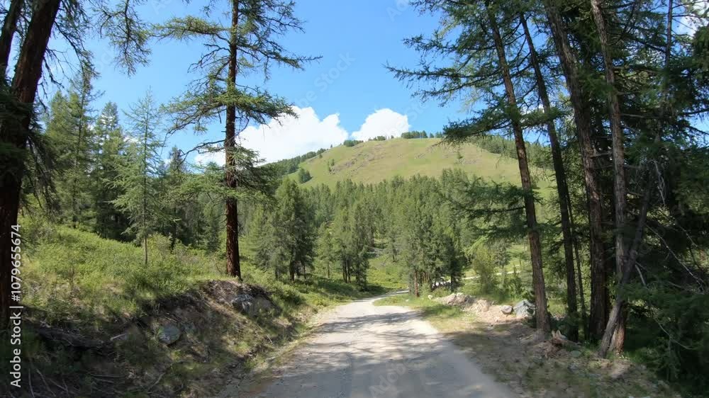 Driving on off-road car along a mountain forest road. Yazula mountain pass in Altai Driving on off-road car along a mountain forest road. Yazula mountain pass in Altai