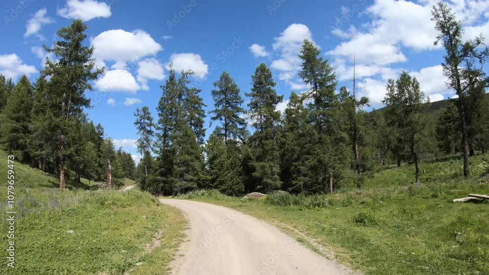Driving on off-road car along a mountain forest road. Yazula mountain pass in Altai Driving on off-road car along a mountain forest road. Yazula mountain pass in Altai