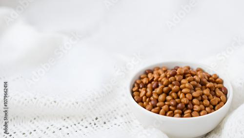 White ceramic bowl of brown cooked lentils isolated on white fro photo