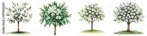 Delicate Snowdrop Tree Blossoms Adorning a Peaceful Spring Landscape with Lush Foliage and Tranquil Atmosphere