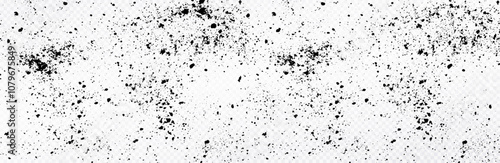 Black dust on transparent background. Splash grunge texture. Abstract small particles of dust. Grunge texture grain noise particles background.
