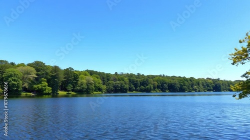 A serene lake surrounded by lush green trees under a clear blue sky on a warm summer day, tranquility, landscape